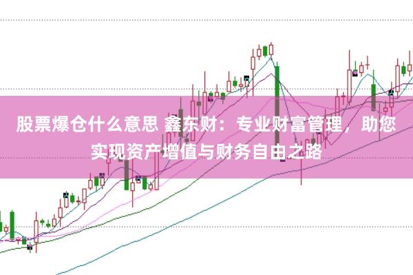股票爆仓什么意思 鑫东财：专业财富管理，助您实现资产增值与财务自由之路