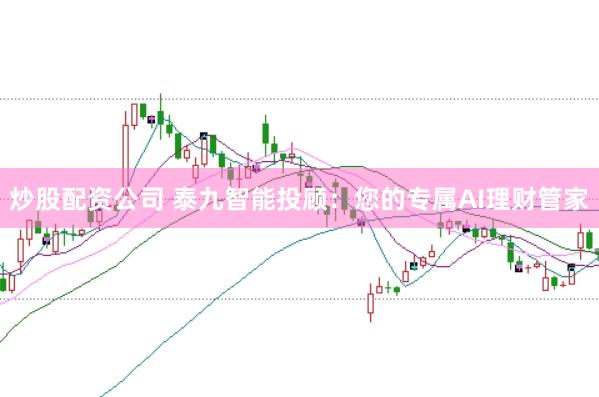 炒股配资公司 泰九智能投顾：您的专属AI理财管家