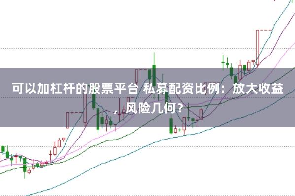 可以加杠杆的股票平台 私募配资比例：放大收益，风险几何？
