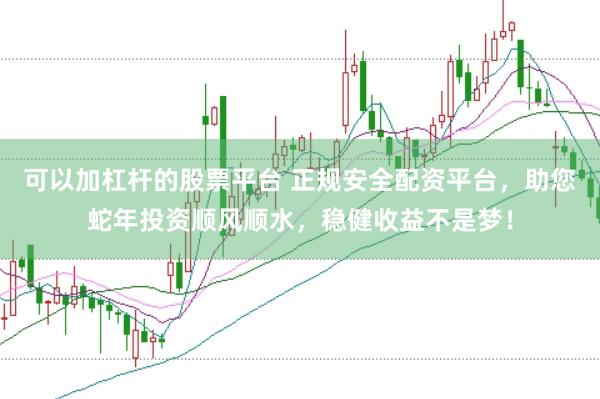 可以加杠杆的股票平台 正规安全配资平台，助您蛇年投资顺风顺水，稳健收益不是梦！