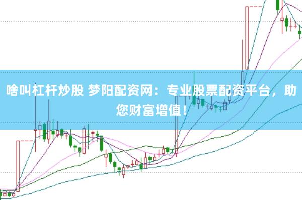 啥叫杠杆炒股 梦阳配资网：专业股票配资平台，助您财富增值！