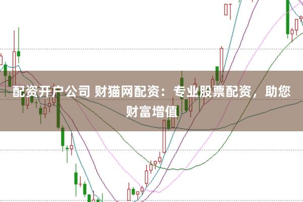 配资开户公司 财猫网配资：专业股票配资，助您财富增值