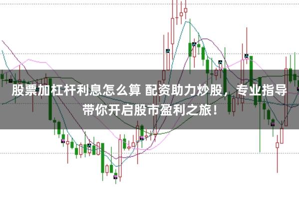 股票加杠杆利息怎么算 配资助力炒股，专业指导带你开启股市盈利之旅！