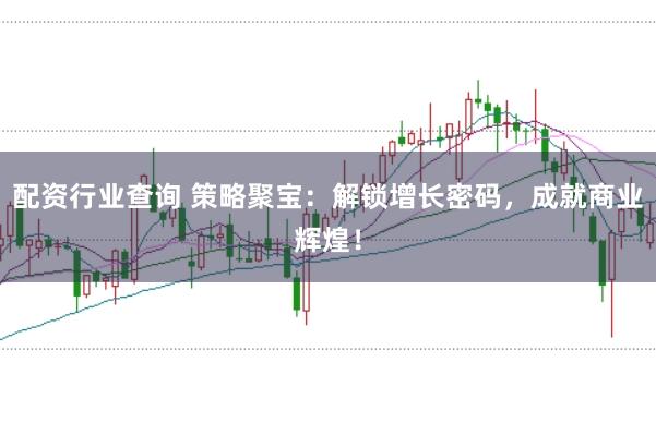 配资行业查询 策略聚宝：解锁增长密码，成就商业辉煌！