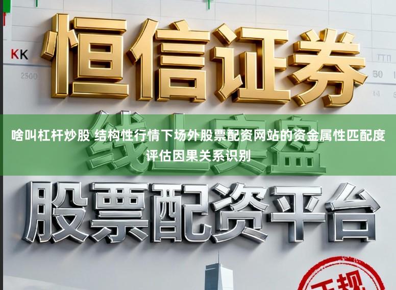啥叫杠杆炒股 结构性行情下场外股票配资网站的资金属性匹配度评估因果关系识别
