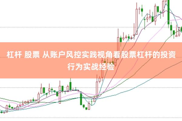 杠杆 股票 从账户风控实践视角看股票杠杆的投资行为实战经验